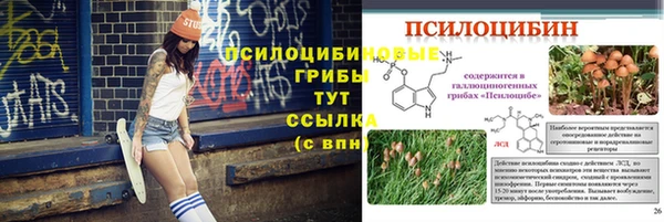 крисы Балабаново