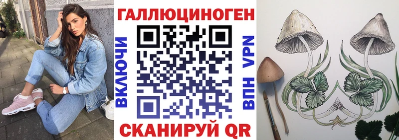 продажа наркотиков  Оленегорск  Галлюциногенные грибы Magic Shrooms 